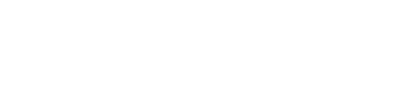 RaidVM